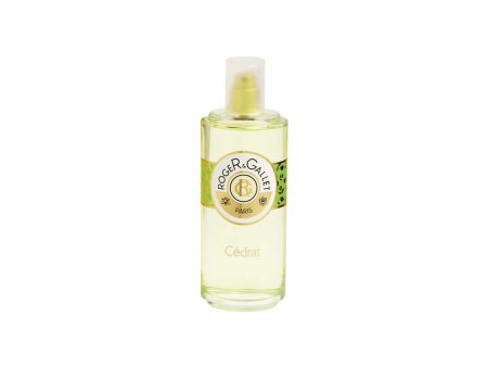 Uniszex Parfüm Roger & Gallet 160282 EDP EDC 100 ml For Cheap